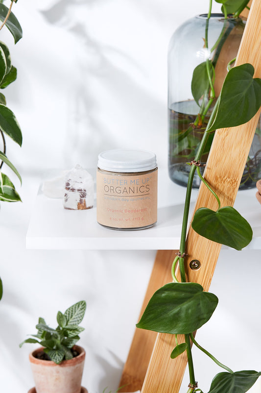 Stay Fresh Natural Deodorant – Pure Protection for Every Body